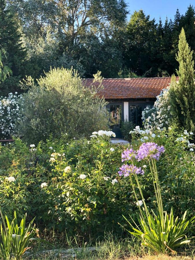 B&B Mas De Caustes Saint-Remy-de-Provence Ngoại thất bức ảnh
