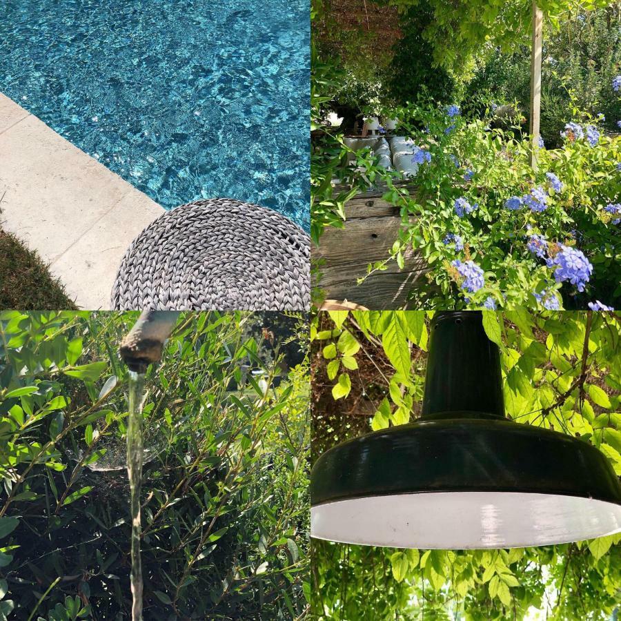 B&B Mas De Caustes Saint-Remy-de-Provence Ngoại thất bức ảnh