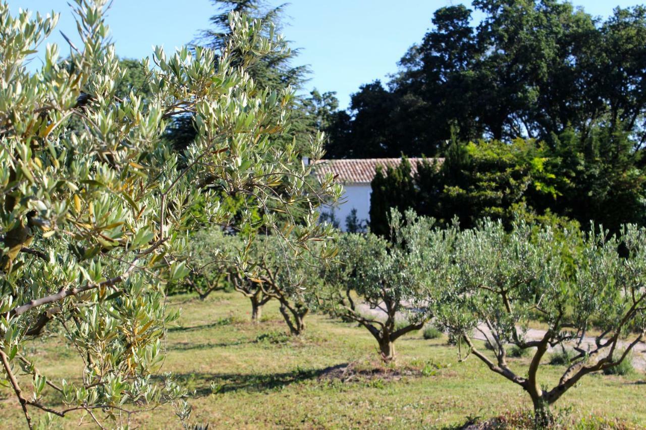 B&B Mas De Caustes Saint-Remy-de-Provence Ngoại thất bức ảnh