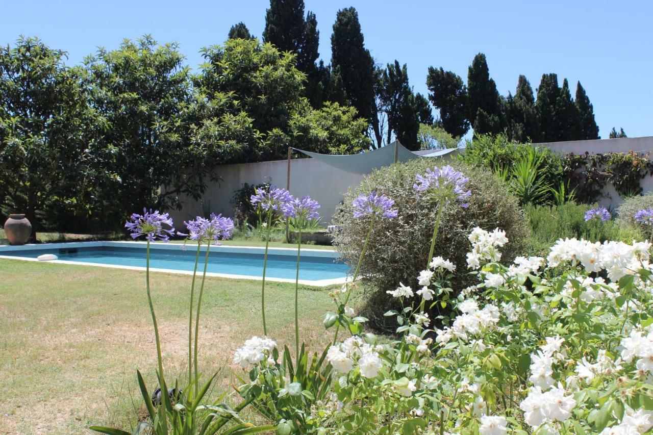 B&B Mas De Caustes Saint-Remy-de-Provence Ngoại thất bức ảnh