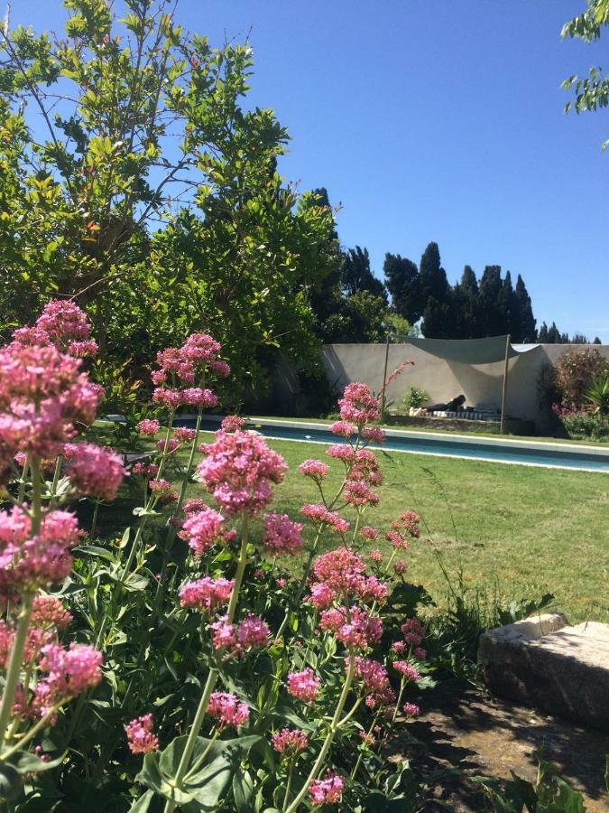 B&B Mas De Caustes Saint-Remy-de-Provence Ngoại thất bức ảnh