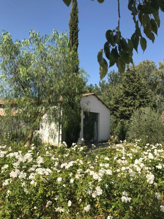 B&B Mas De Caustes Saint-Remy-de-Provence Ngoại thất bức ảnh