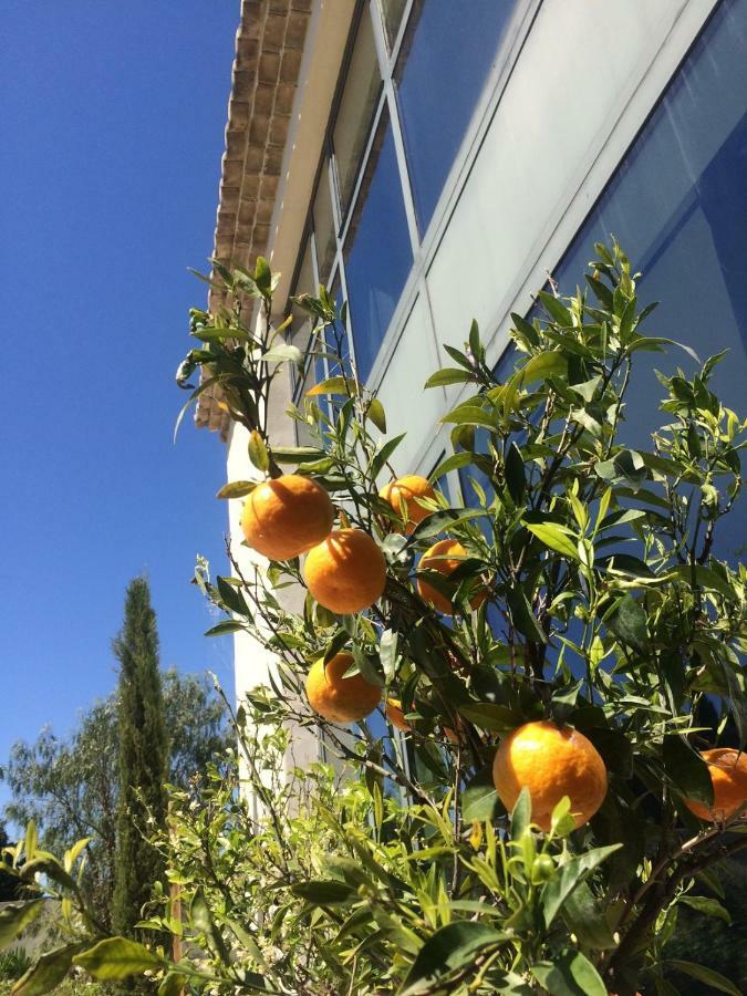 B&B Mas De Caustes Saint-Remy-de-Provence Ngoại thất bức ảnh