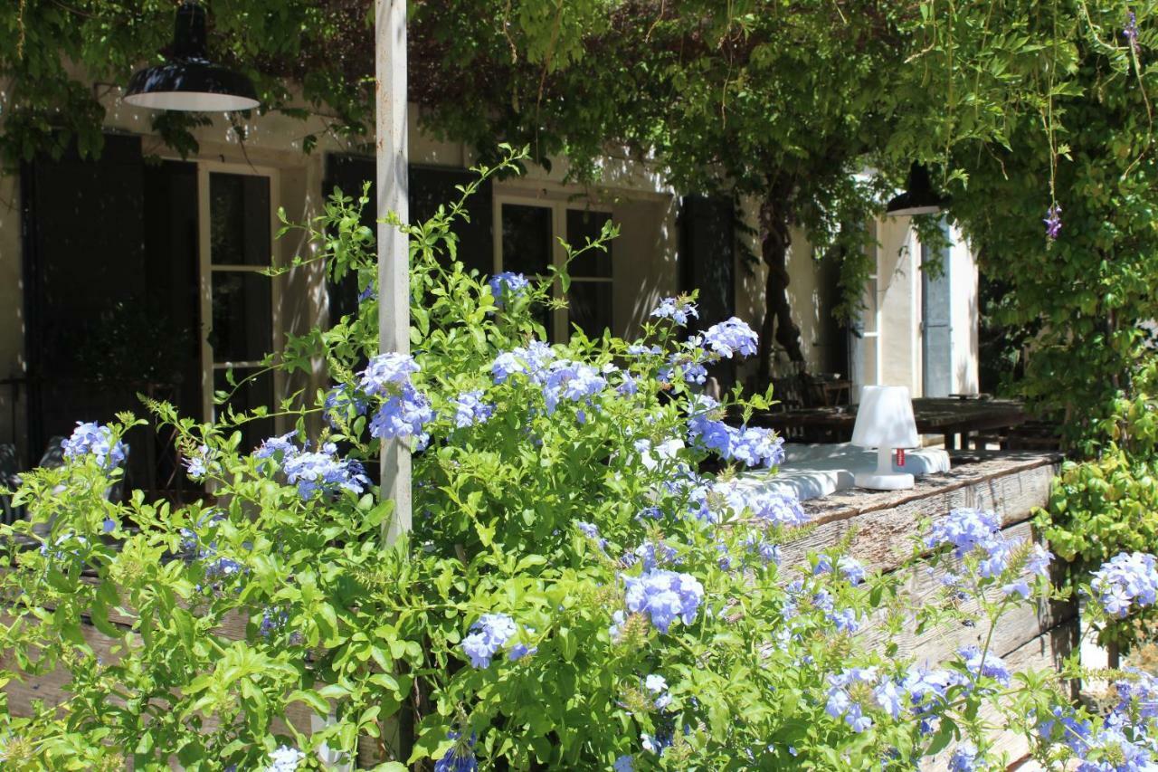 B&B Mas De Caustes Saint-Remy-de-Provence Ngoại thất bức ảnh