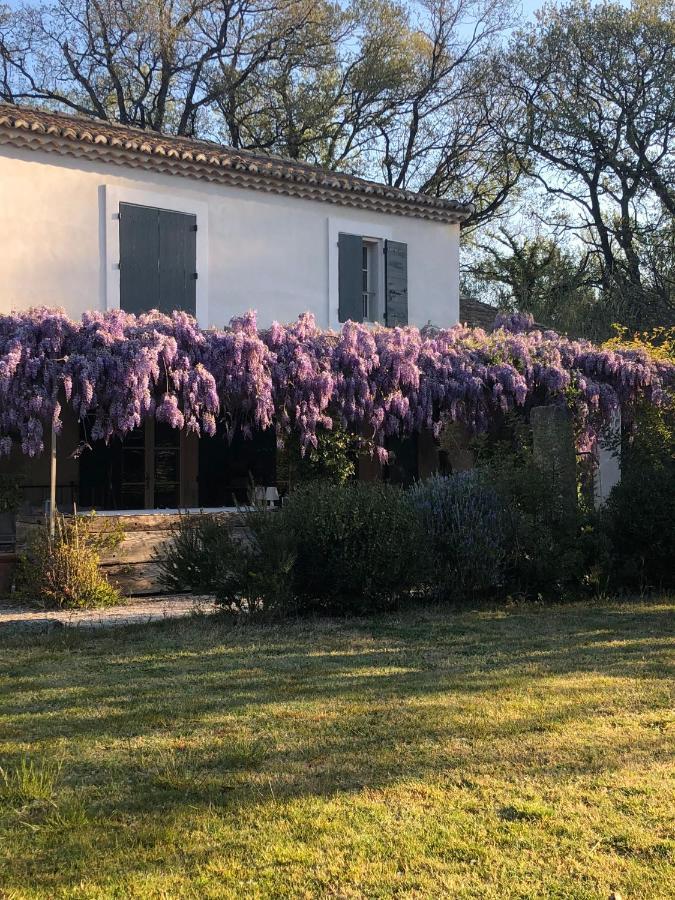 B&B Mas De Caustes Saint-Remy-de-Provence Ngoại thất bức ảnh